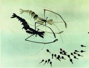 蝌蚪网国产,蝌蚪网引领绿色科技新潮流