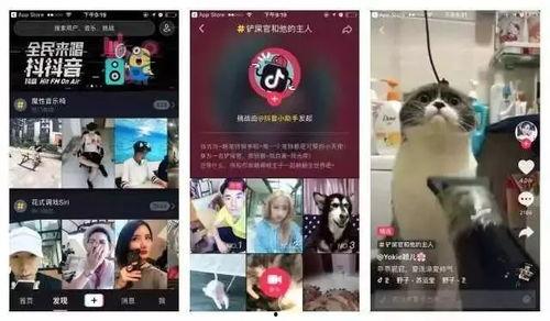 91抖音本色直播下载,揭秘热门直播背后的下载秘密